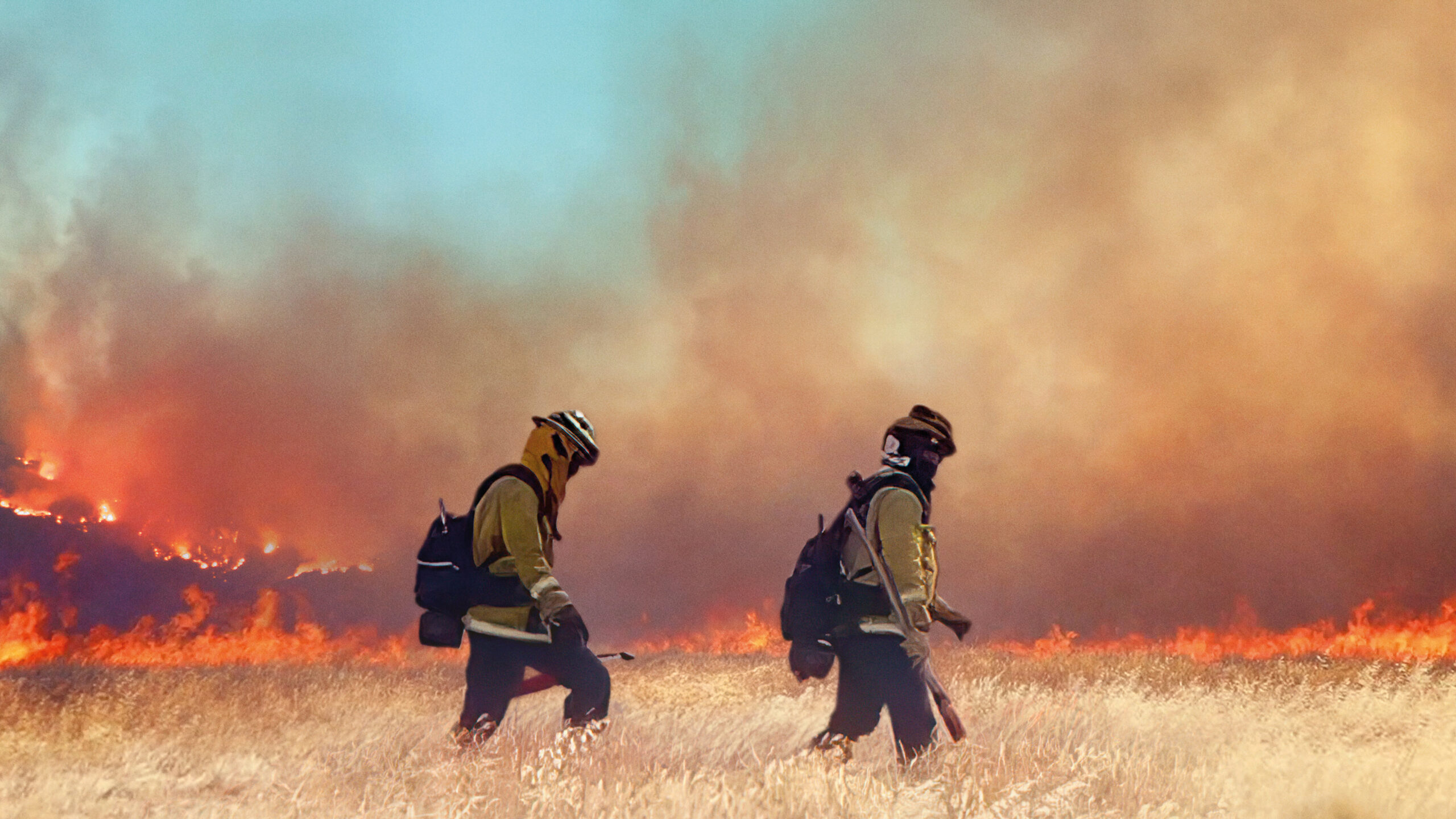 Fireline — image 1