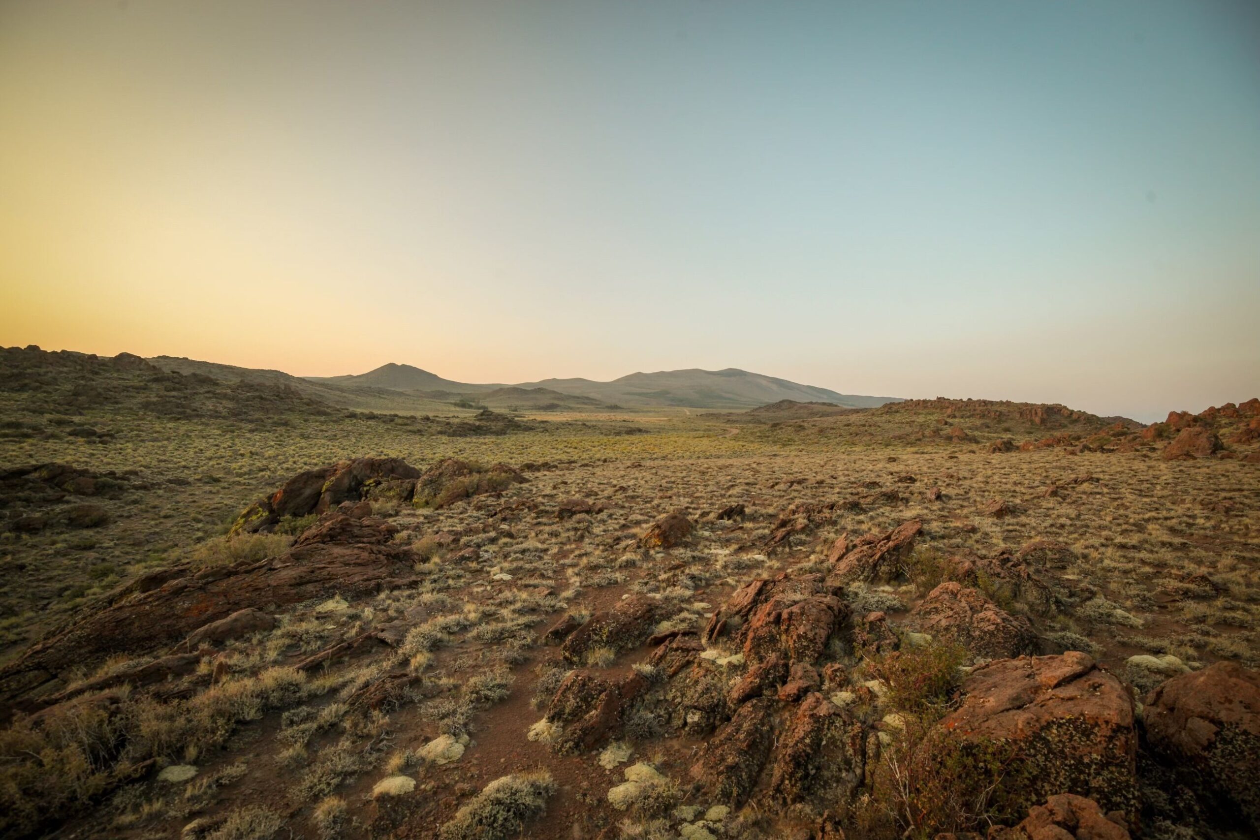 O' Silent Transparencies — image 3