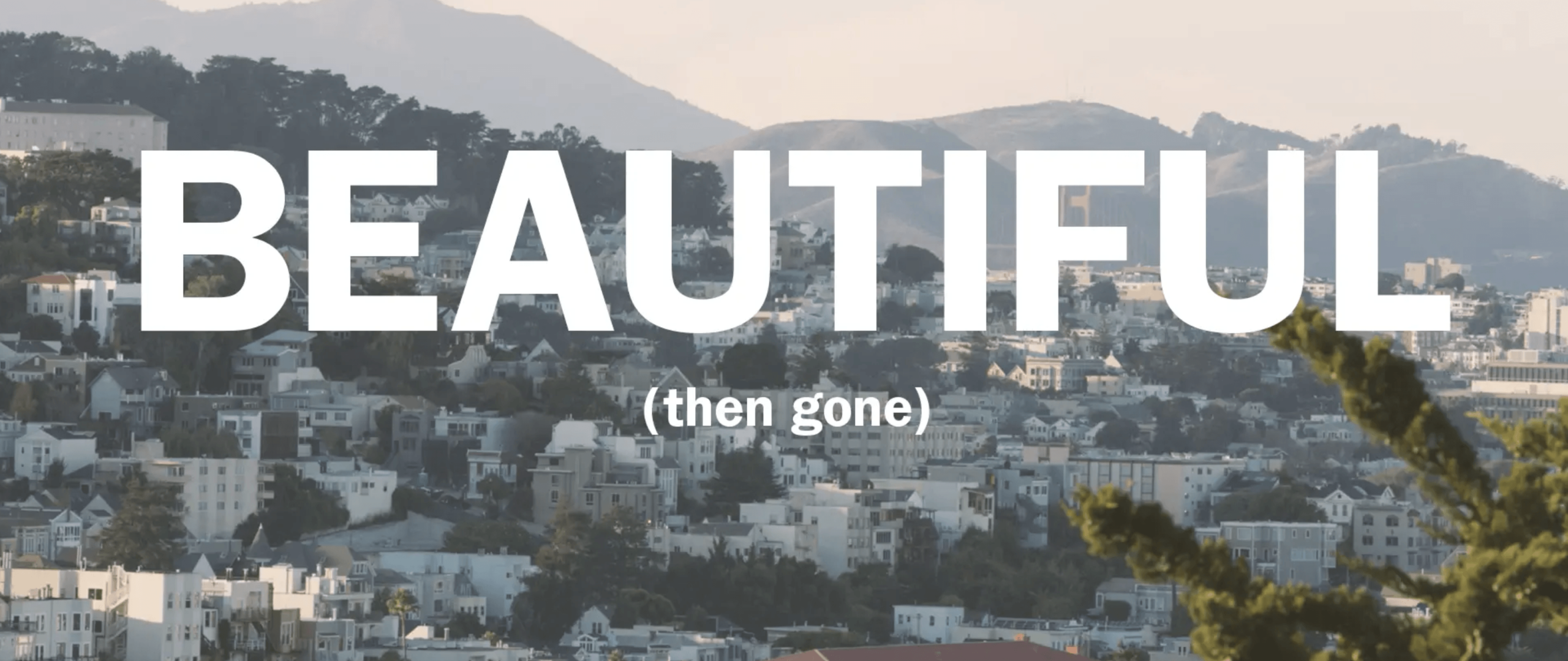 Beautiful (Then Gone) — image 3