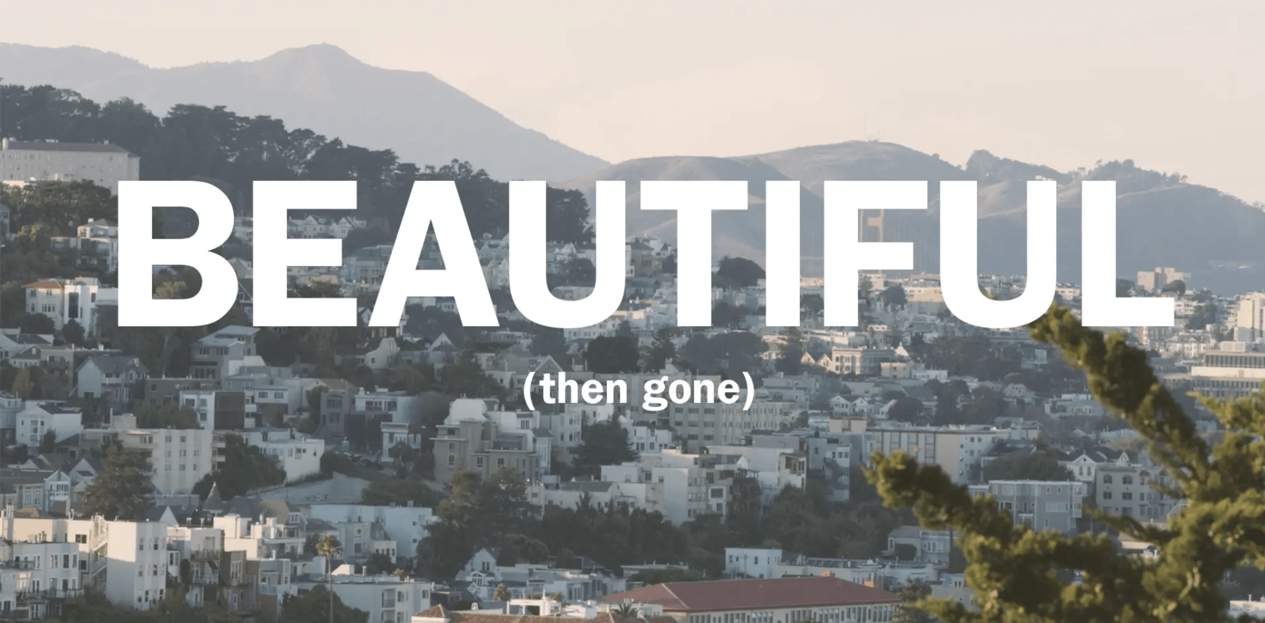 Beautiful (Then Gone) — image 4