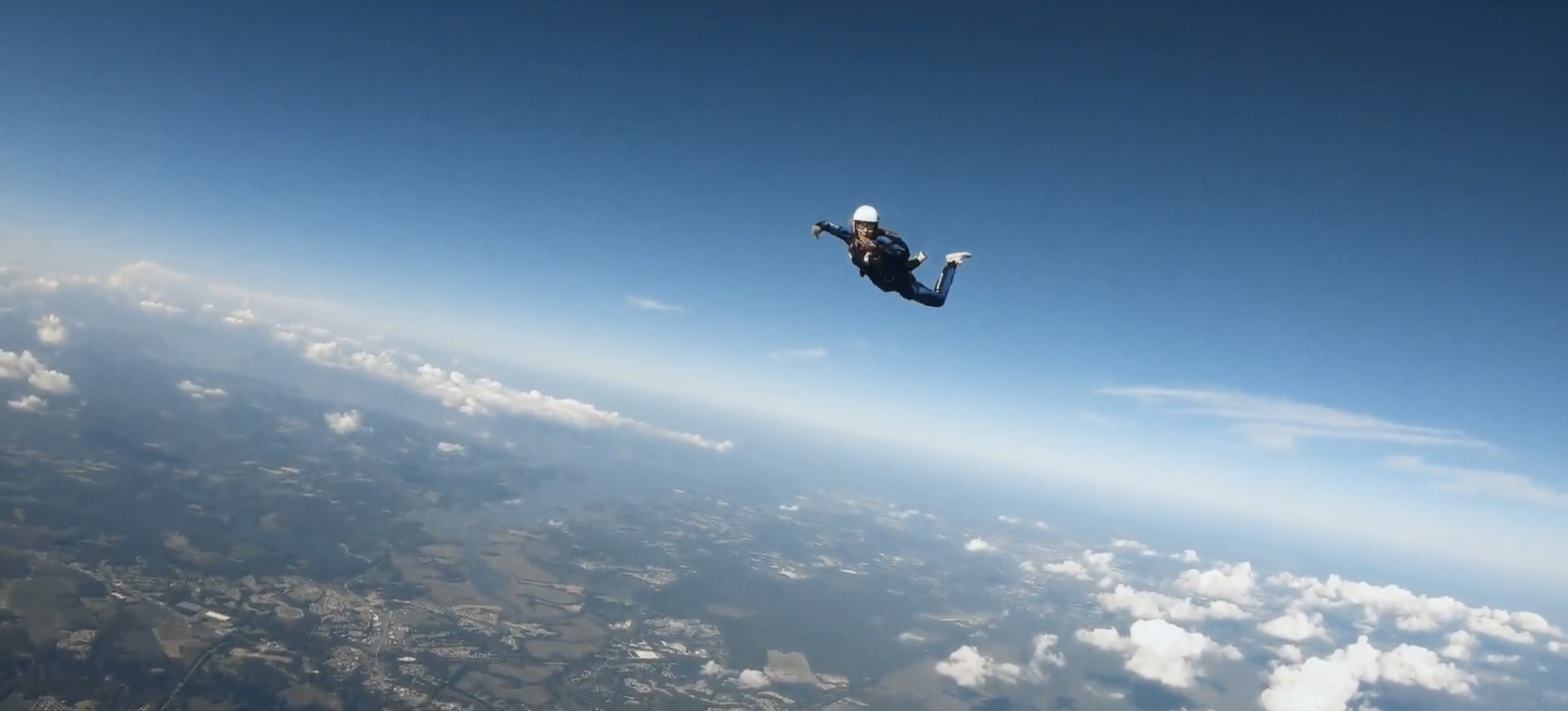 Trustfall — image 1