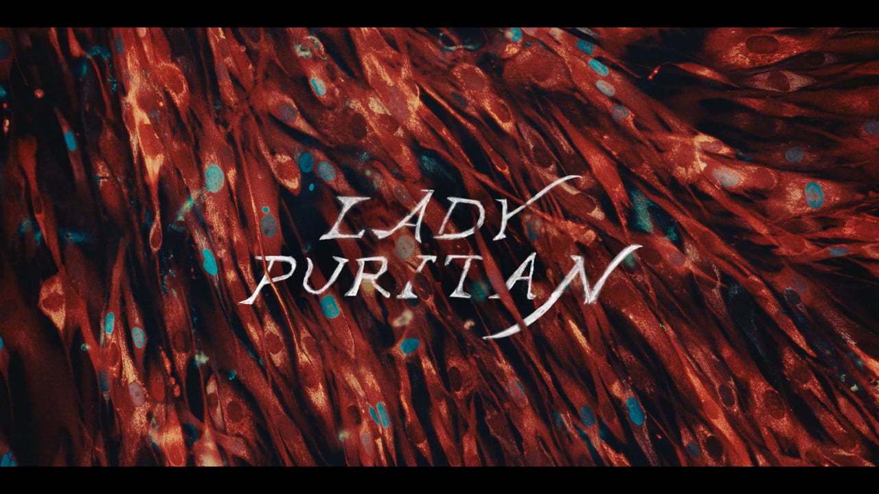 Lady Puritan