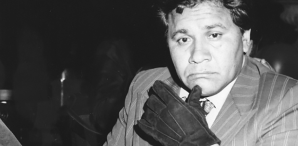 The Rise and Fall of the Brown Buffalo — image 3